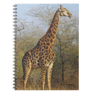 Giraffe Standing Tall Notebook