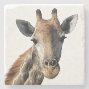 Giraffe Stone Coaster