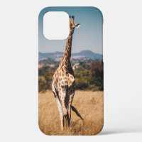 GIRAFFE SURROUNDED BY BROWN GRASS