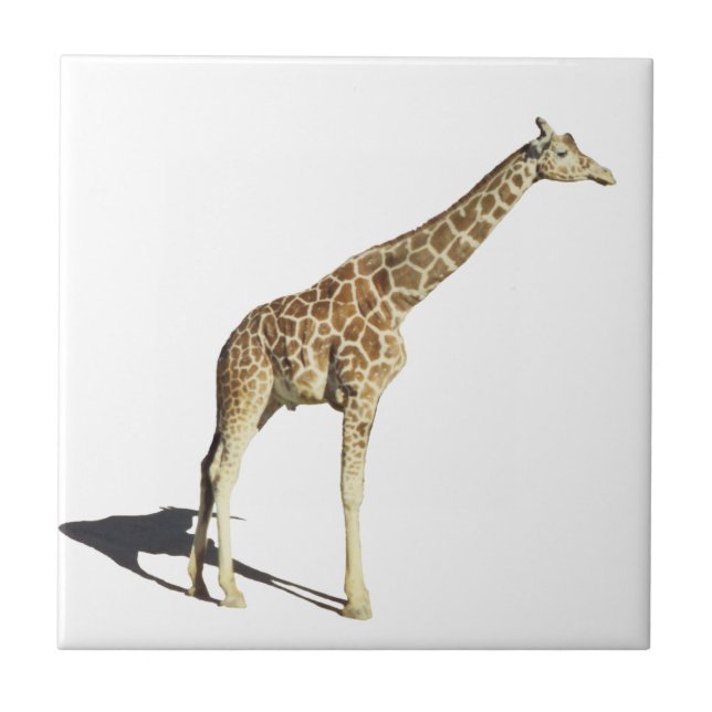 Giraffe Tile (Front)