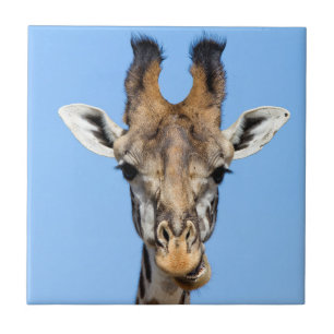 Giraffe Tile
