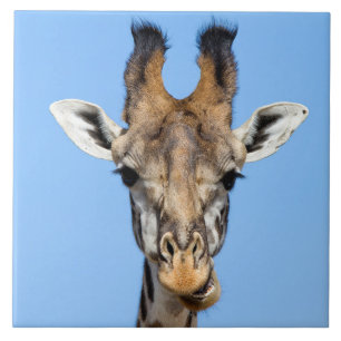 Giraffe Tile