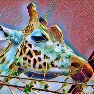 GIRAFFE   TISSUE PAPER