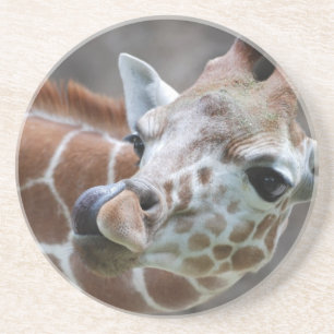 Giraffe Tongue Coaster