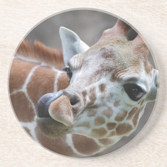 Giraffe Tongue Coaster (Front)