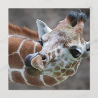 Giraffe Tongue Invitations