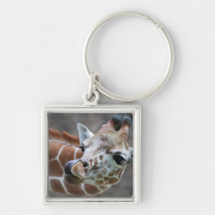 Giraffe Tongue Keychain