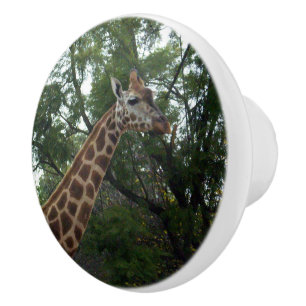 Giraffe Walk With Nature, Ceramic Knob