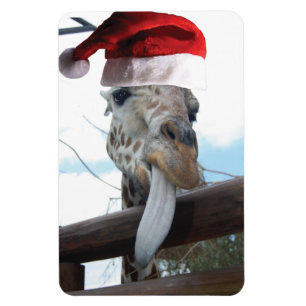 Giraffe wearing a Santa Claus Hat Magnet