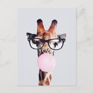 Giraffe Wearing Glasses Blowing Pink Bubble gum Postcard