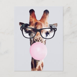 Giraffe Wearing Glasses Blowing Pink Bubble gum Postcard