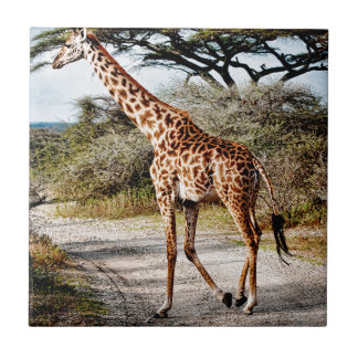Giraffe Wild Animal Africa pattern print Tile