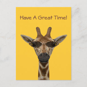 Giraffe With Sunglasses Postcard