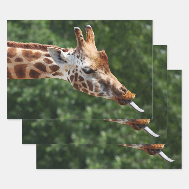 Giraffe with Tongue Out Wrapping Paper Sheet (Set)