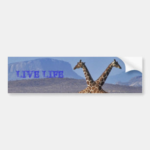 giraffes[1], LIVE LIFE Bumper Sticker