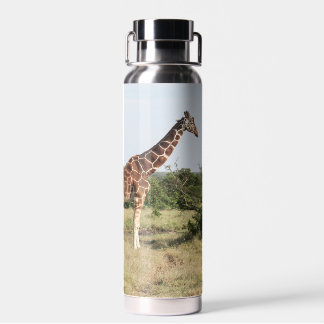 Giraffes 22 oz. insulated water bottle