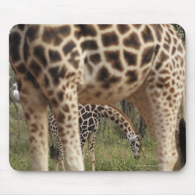 Giraffes 2 mouse pad (Front)