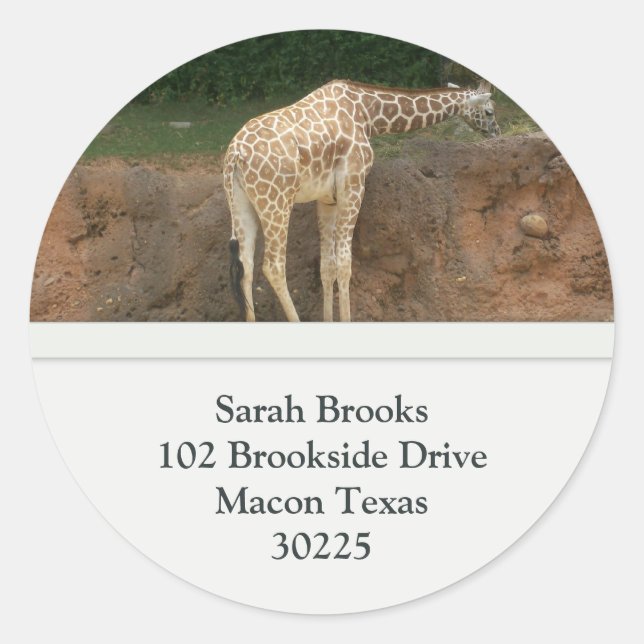 Giraffes Address Labels (Front)