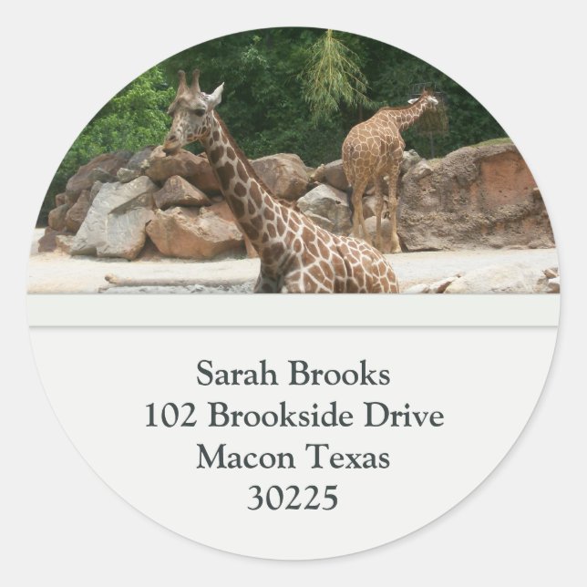 Giraffes Address Labels (Front)