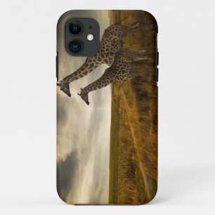 Giraffes and The Landscape Case-Mate iPhone Case
