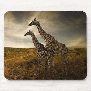 Giraffes and The Landscape Mouse Pad