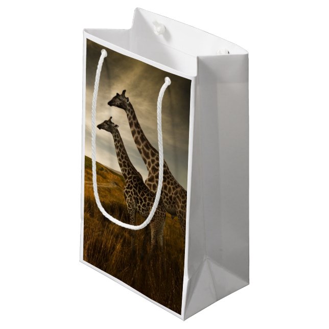 Giraffes and The Landscape Small Gift Bag (Front Angled)