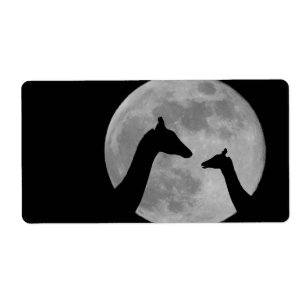 Giraffes At Fullmoon Night