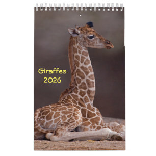 Giraffes Calendar