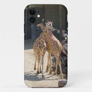 giraffes Case-Mate iPhone case