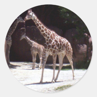 Giraffes Classic Round Sticker
