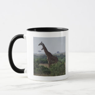 Giraffes in Africa Mug