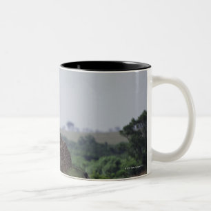 Giraffes in Africa Two-Tone Coffee Mug