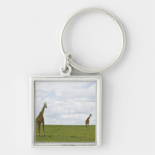 Giraffes in Kenya, Africa Key Ring