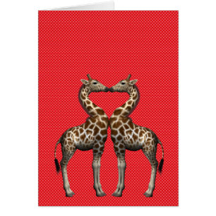 Giraffes In Love