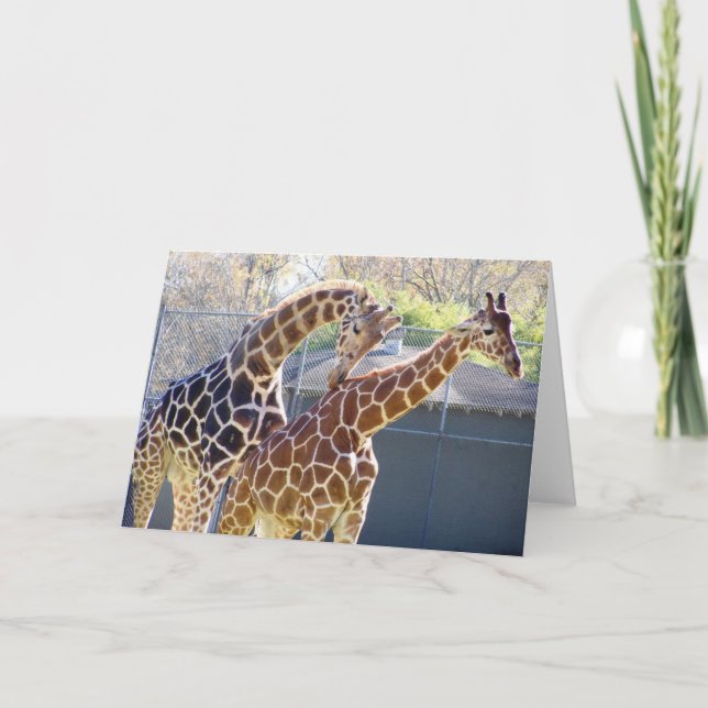 Giraffes in Love Card (Front)