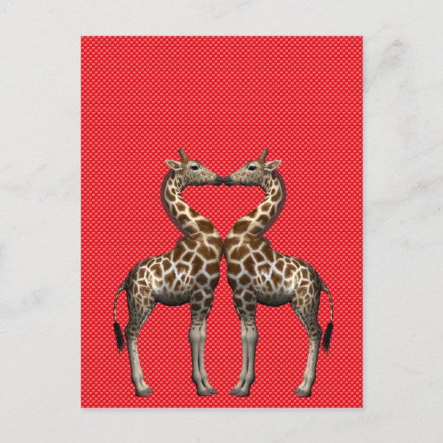 Giraffes In Love Postcard (Front)