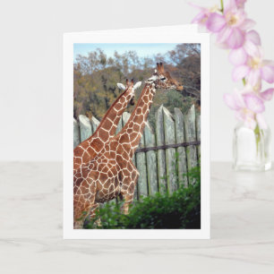 Giraffes in Park Card
