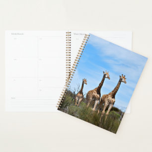 Giraffes in Peaceful Daybreak Planner