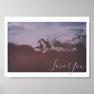 Giraffes in Wild Habitat Love You Poster