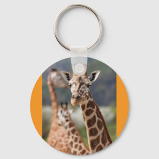 giraffes key ring