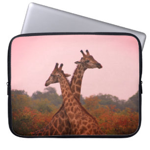 Giraffes Laptop Sleeve