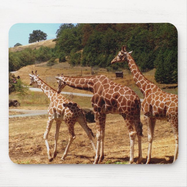 Giraffes Mouse Pad (Front)