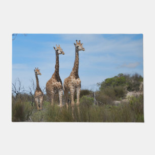 Giraffes on Rustic Savanna Path Doormat