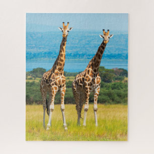 Giraffes on the Savanna, Uganda Jigsaw Puzzle