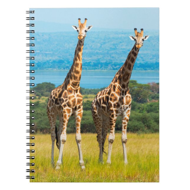 Giraffes on the Savanna, Uganda Notebook (Front)