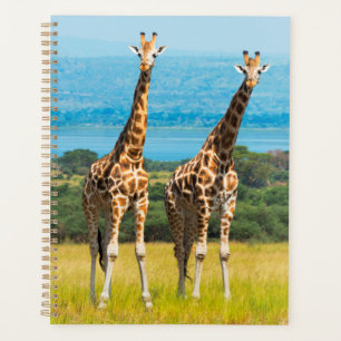 Giraffes on the Savanna, Uganda Planner
