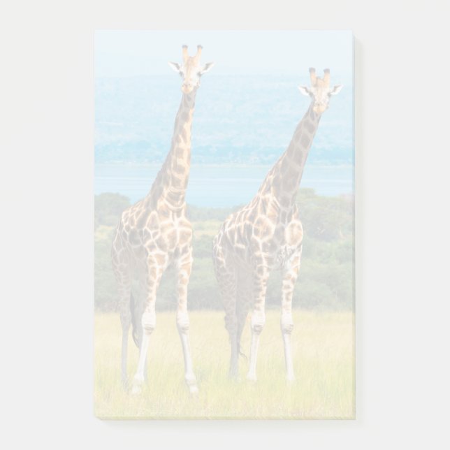Giraffes on the Savanna, Uganda Post-it Notes (Front)