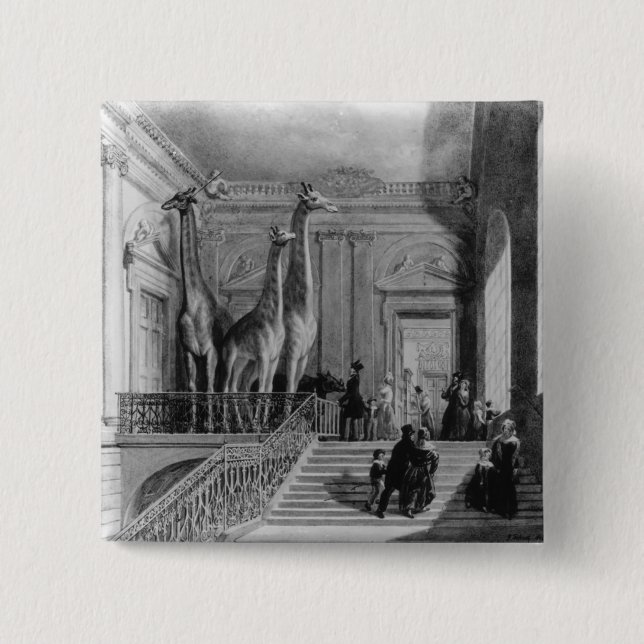 Giraffes on the staircase in the British 15 Cm Square Badge (Front)