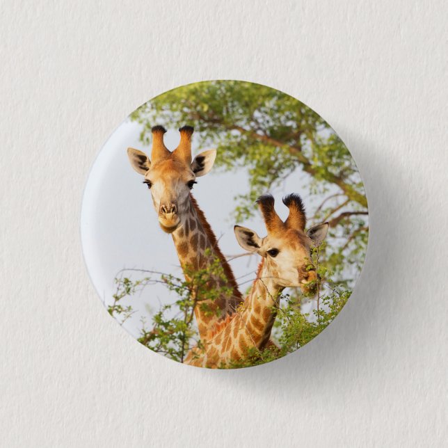 Giraffes Peeking Above Vegetation 3 Cm Round Badge (Front)