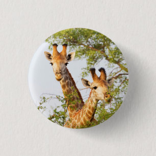 Giraffes Peeking Above Vegetation 3 Cm Round Badge